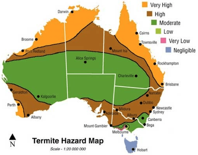 Termatrac T3i — Pest Control in Mackay, QLD