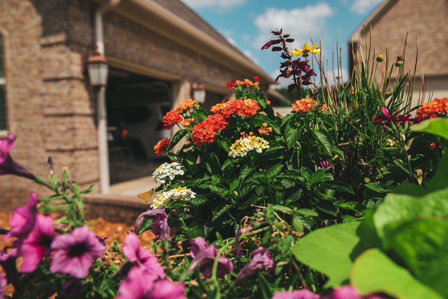 A bunch of flowers are growing in front of a house.