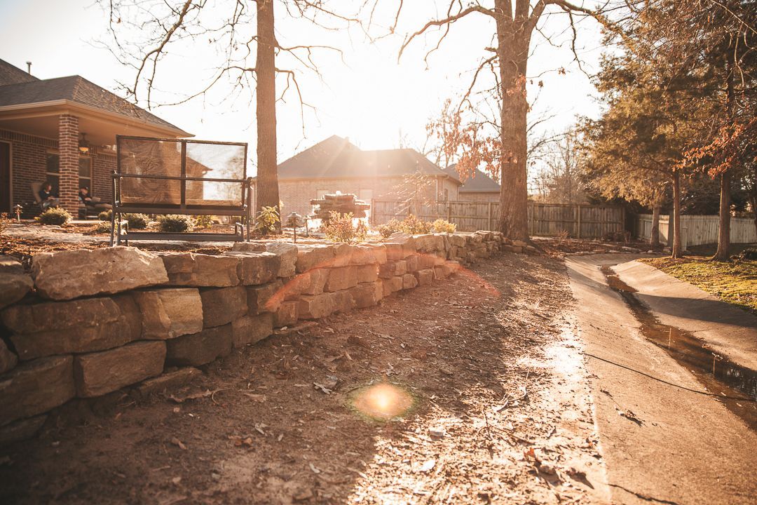 the sun is shining through the trees on a sunny day .