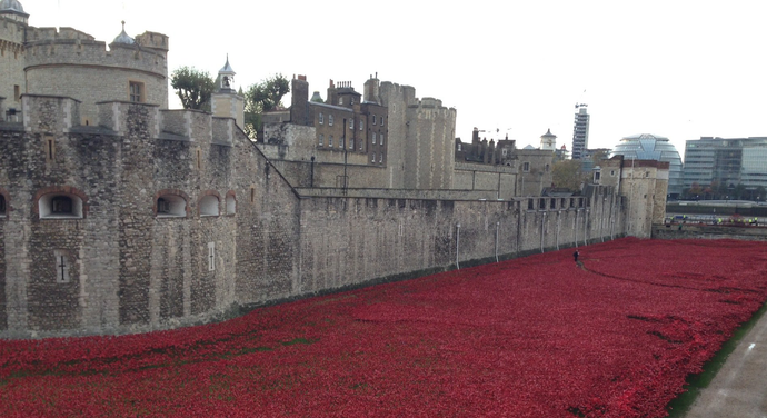 Poppies at Tower of London to mark centenary of World War I. advectus chauffeur © Catherine Jackson