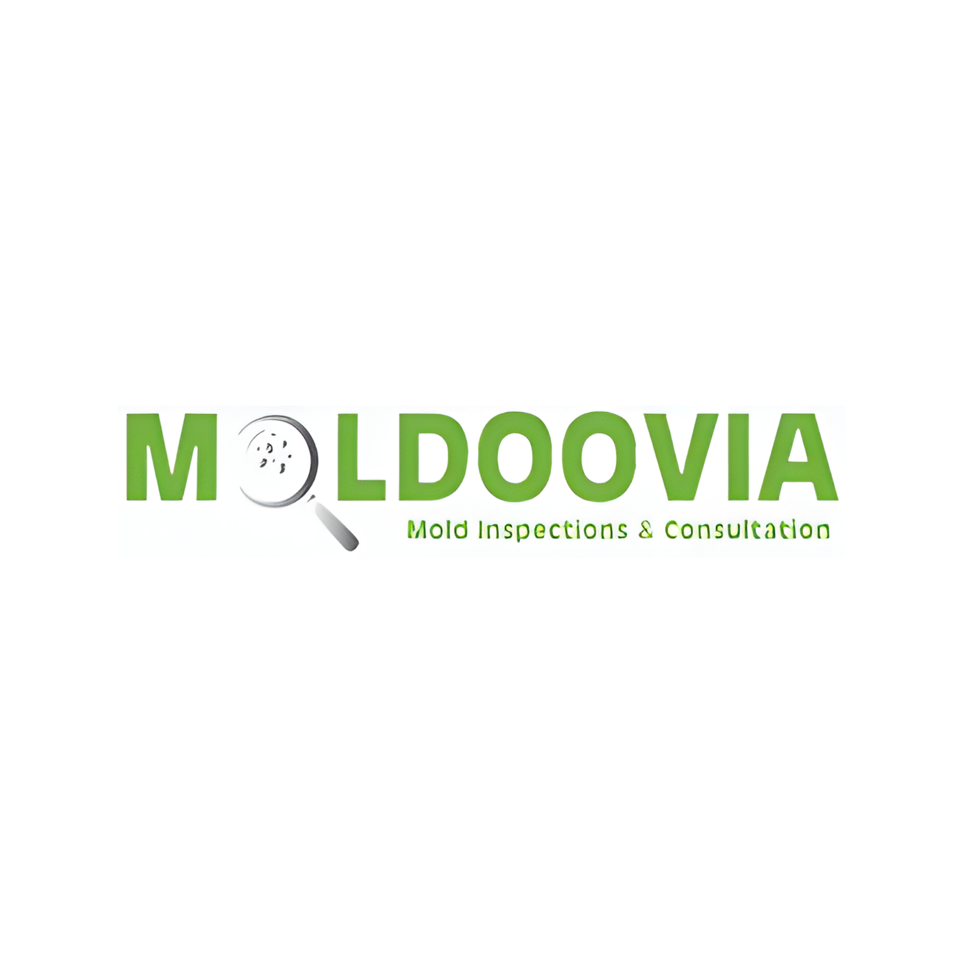 Logo for Moldoovia: Green text with magnifying glass over