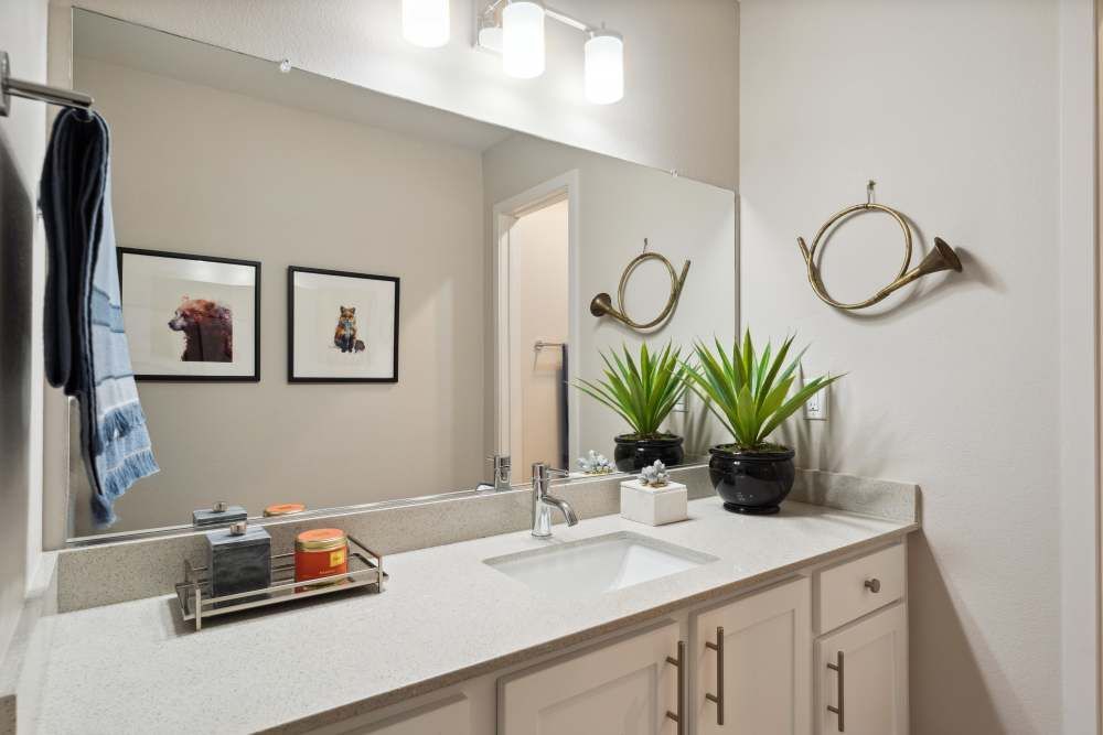 Bathroom vanity with sink, large mirror, two potted plants, and a towel on the rack at Sofi at Murrayhill, offers apartments near Murrayhill Town Center.