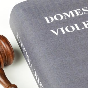 Legal Book About Domestic Violence