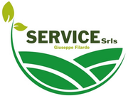 logo service srls di filardo