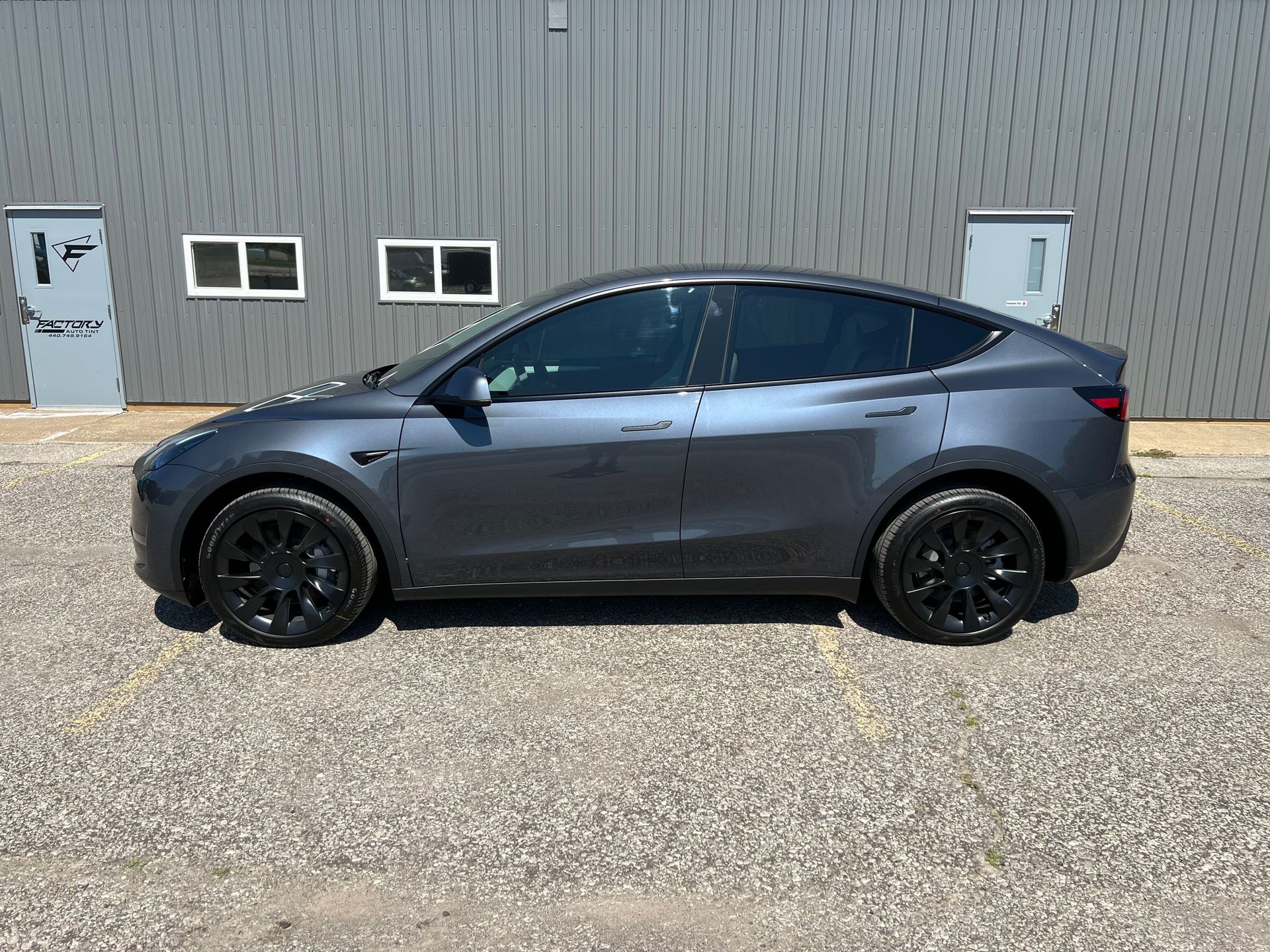 model y