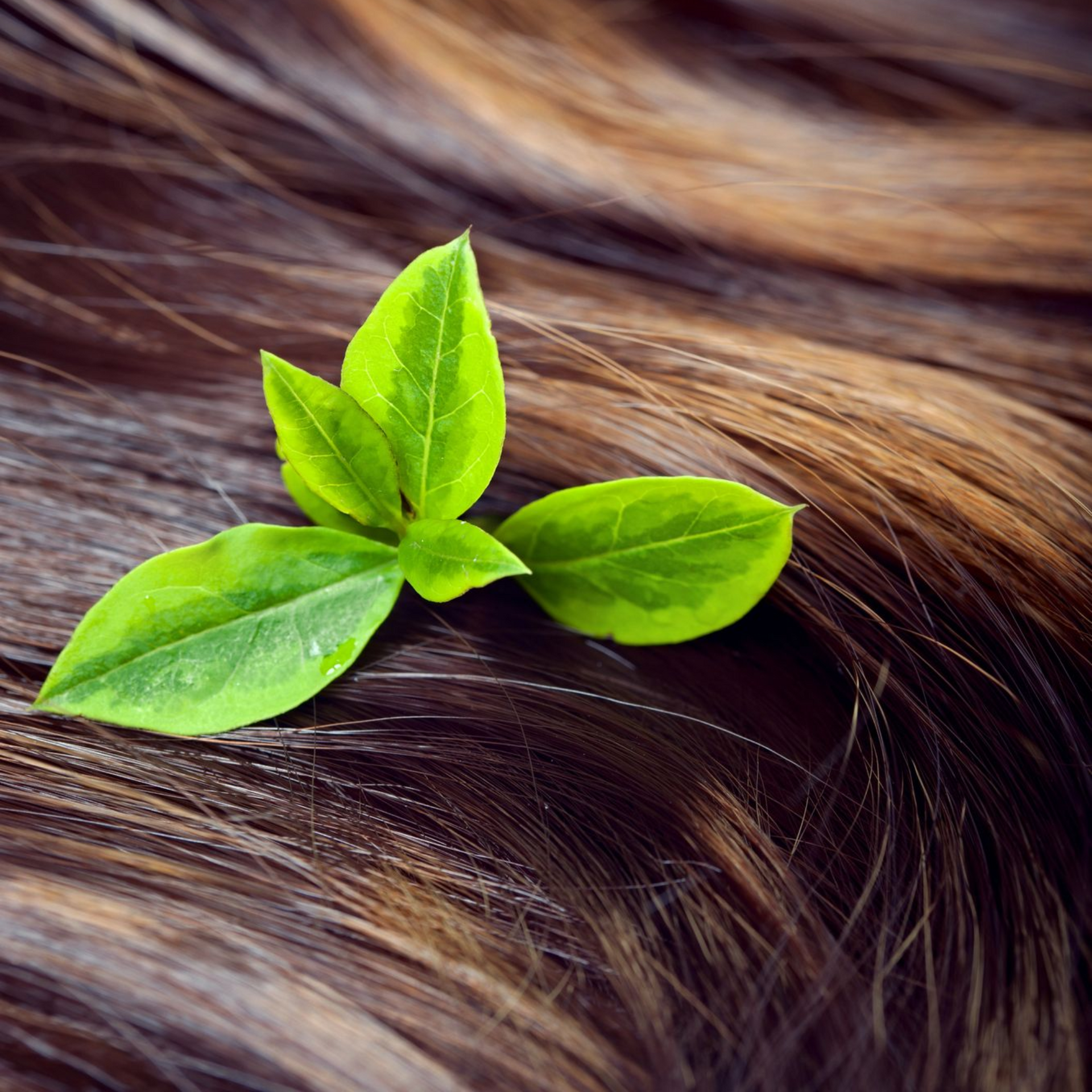 Trattamenti per capelli