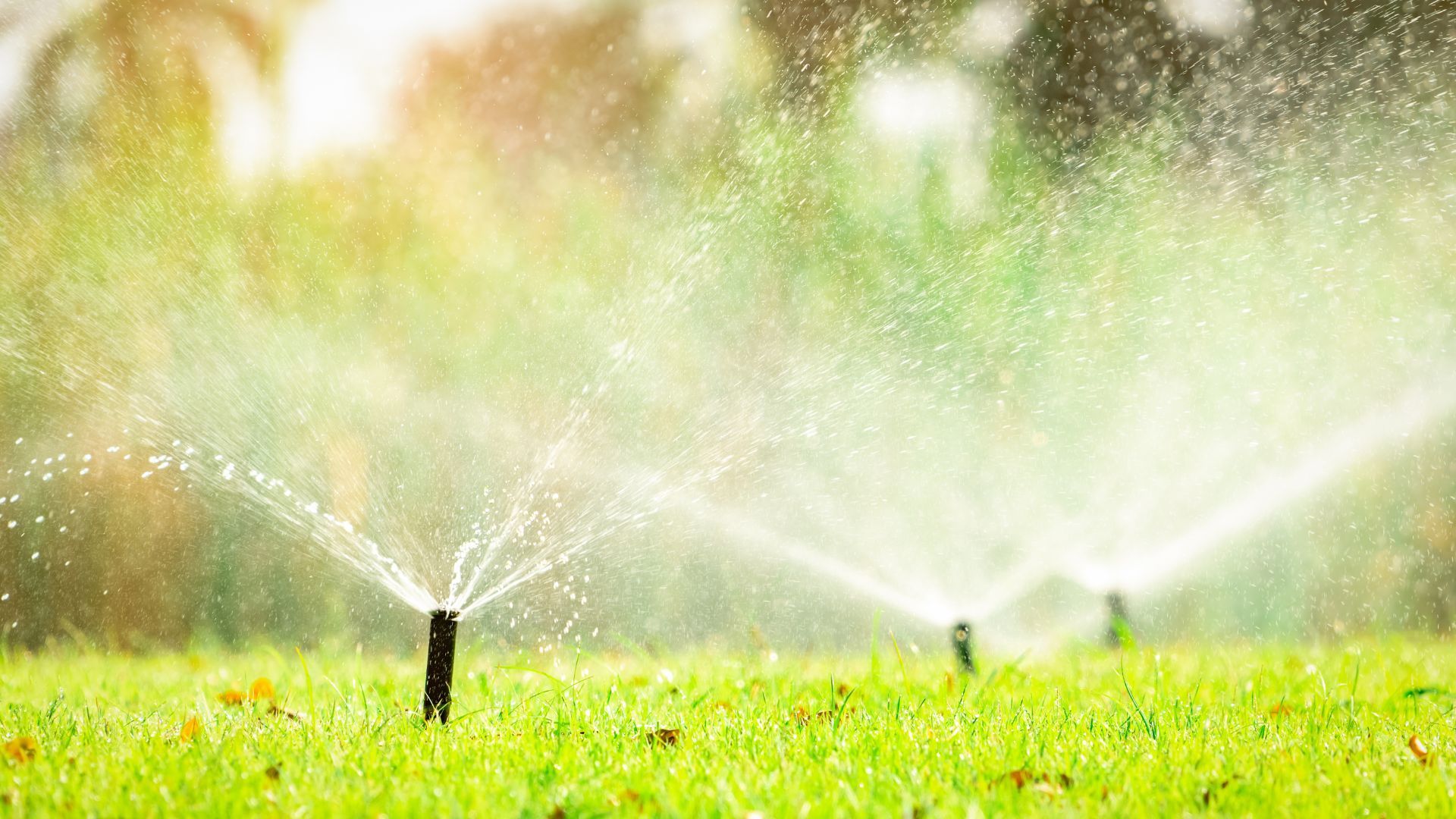 A sprinkler is spraying water on a lush green field. MT Landscaping Service