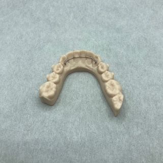 A model of a person 's teeth is sitting on a table.