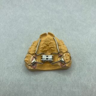 A model of a tooth with braces on it