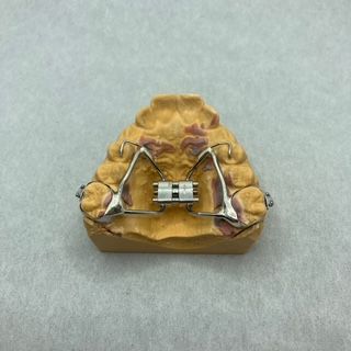 A model of a tooth with braces on it
