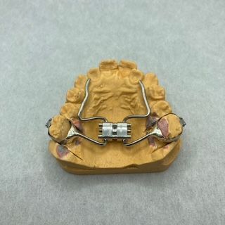 A model of a person 's teeth with braces on it