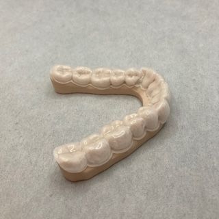 A model of teeth is sitting on a white surface.