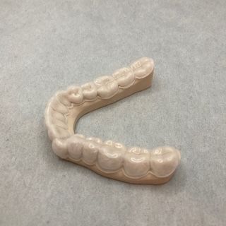 A model of teeth is sitting on a table.