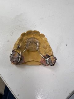 A dental model is sitting on top of a white table.