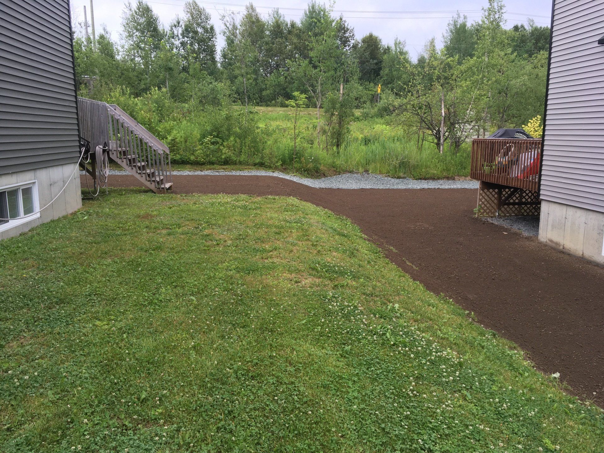 Une cour arrière avec une pelouse verte luxuriante et une allée menant à une maison.