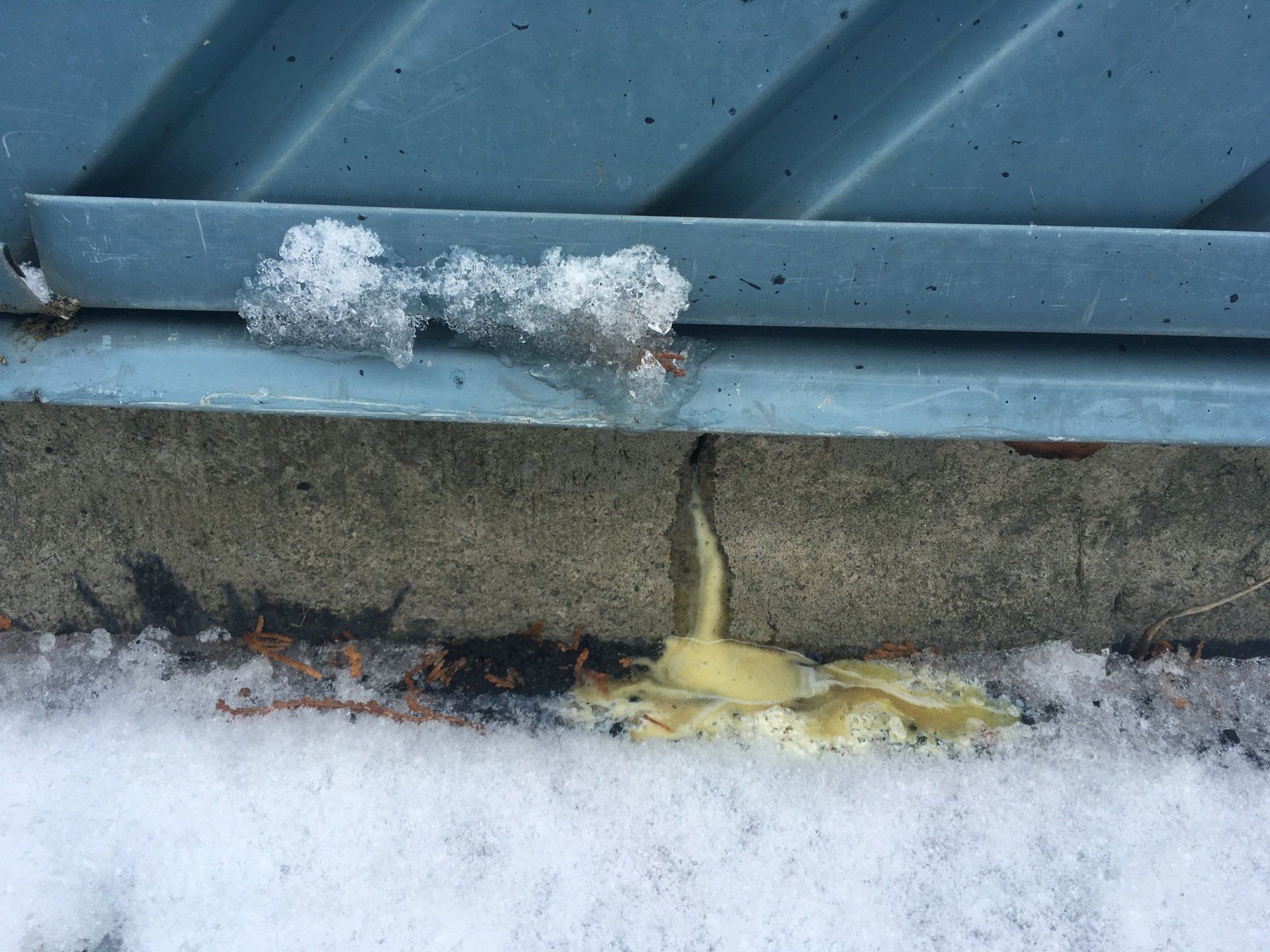 Un morceau de fromage est posé sur le sol à côté d'un bâtiment.