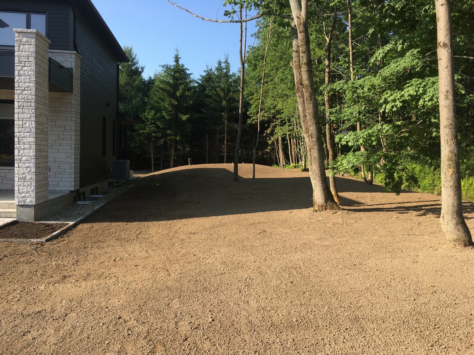 Un chemin de terre menant à une maison entourée d'arbres.