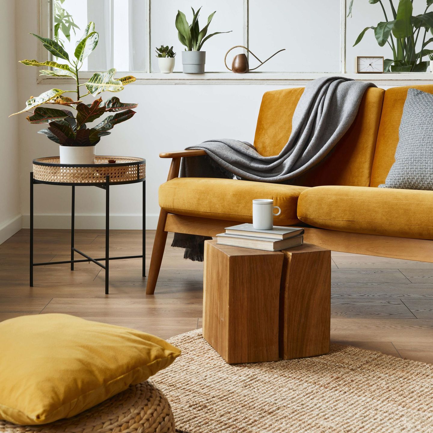 Mustard yellow couch in a light-filled living room with plants, wooden furniture, and a rug.