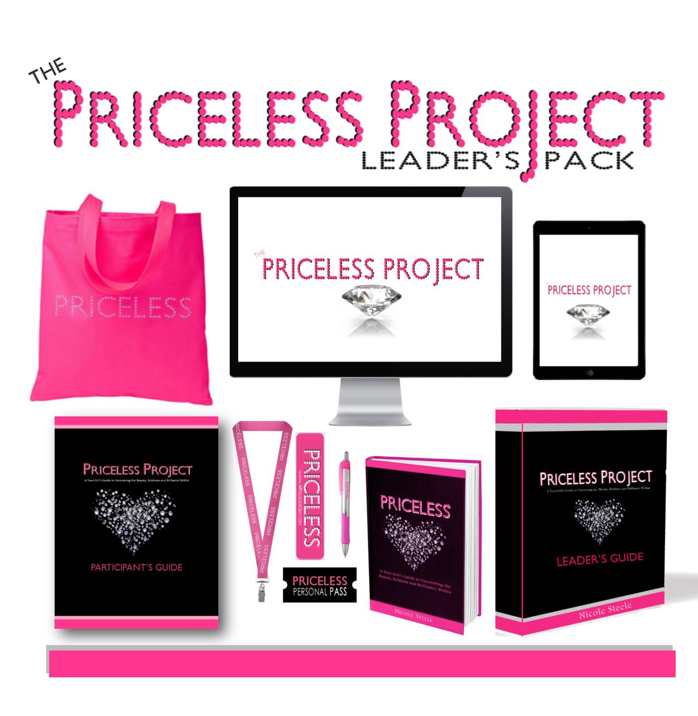 The Priceless Project: Curriculum & Training Certification