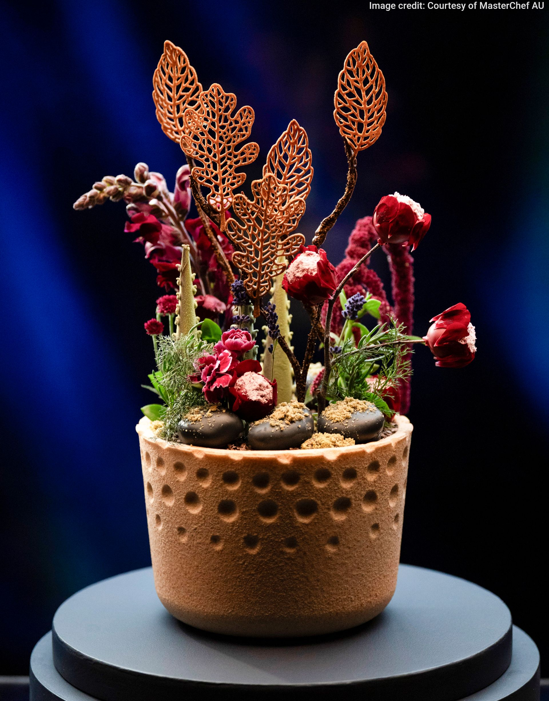 Botanical Garden | MasterChef AU S17