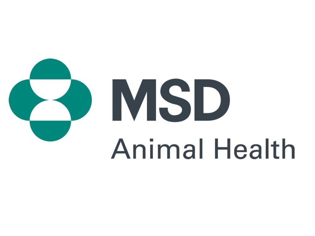 Logo - MSD
