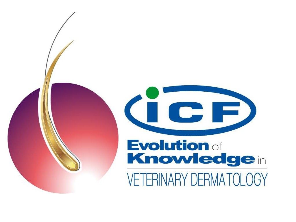 Logo - ICF