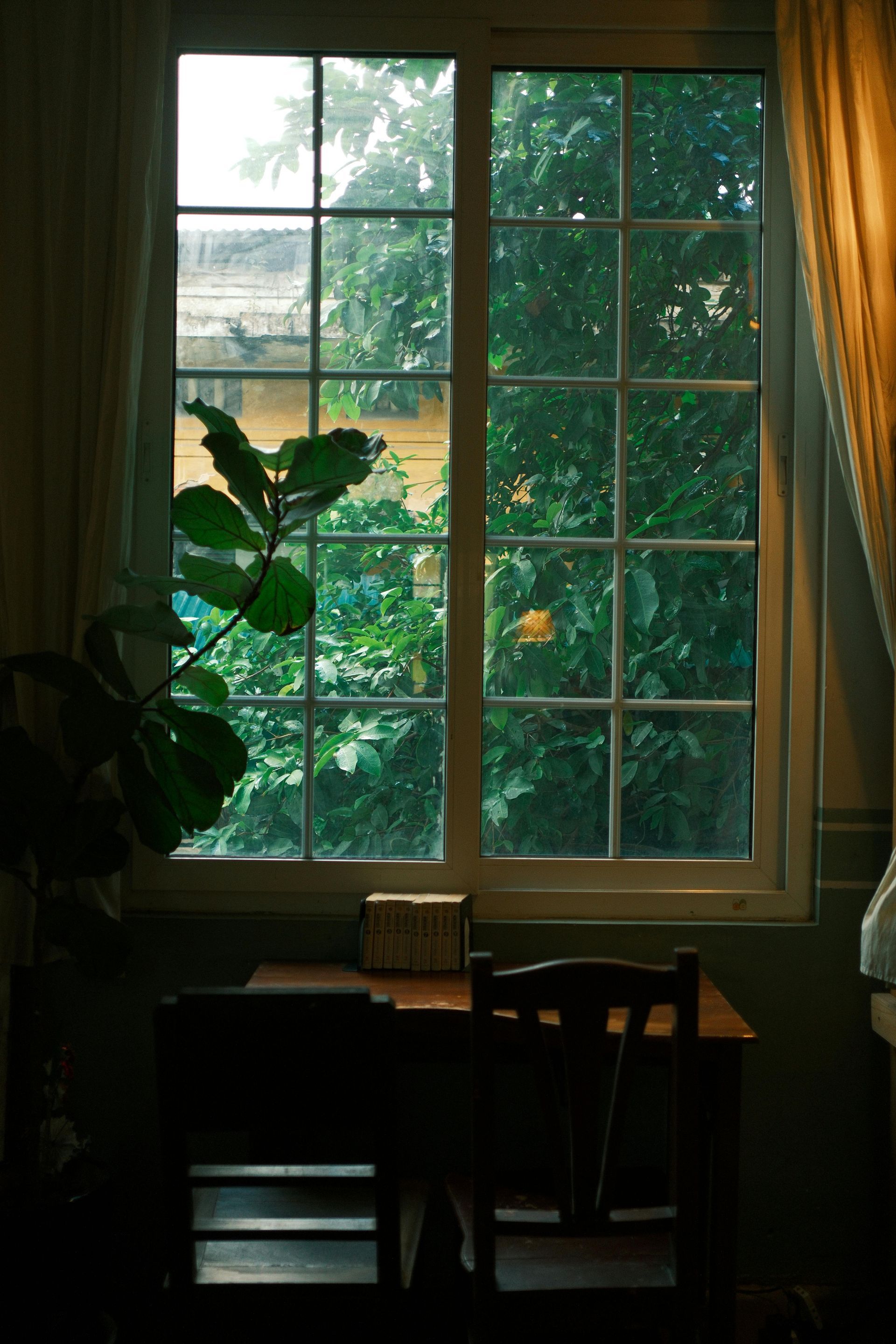 Window with trees visible, desk and chair in shadow, plant in front, curtains on sides.