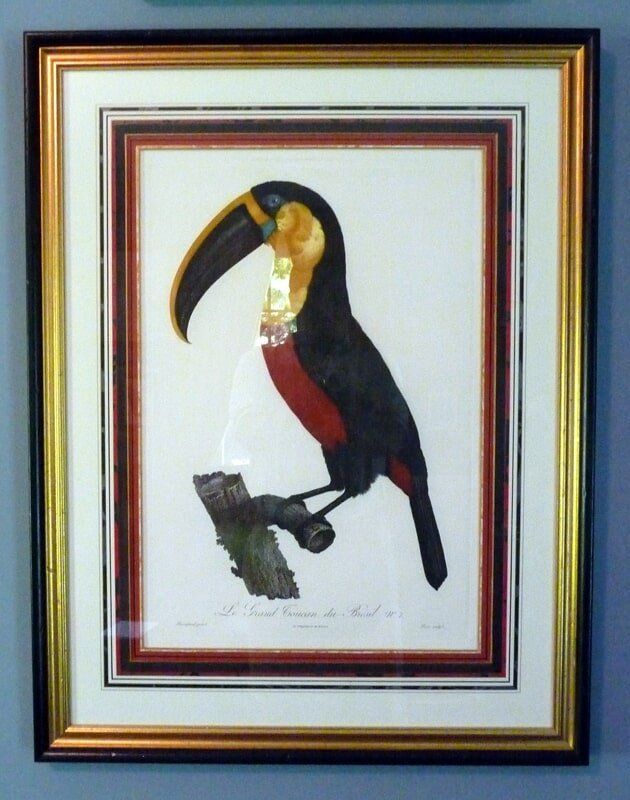 Bird Framed Image — Alexandria, VA — Buchanan and Kiguel Fine Custom Picture Framing