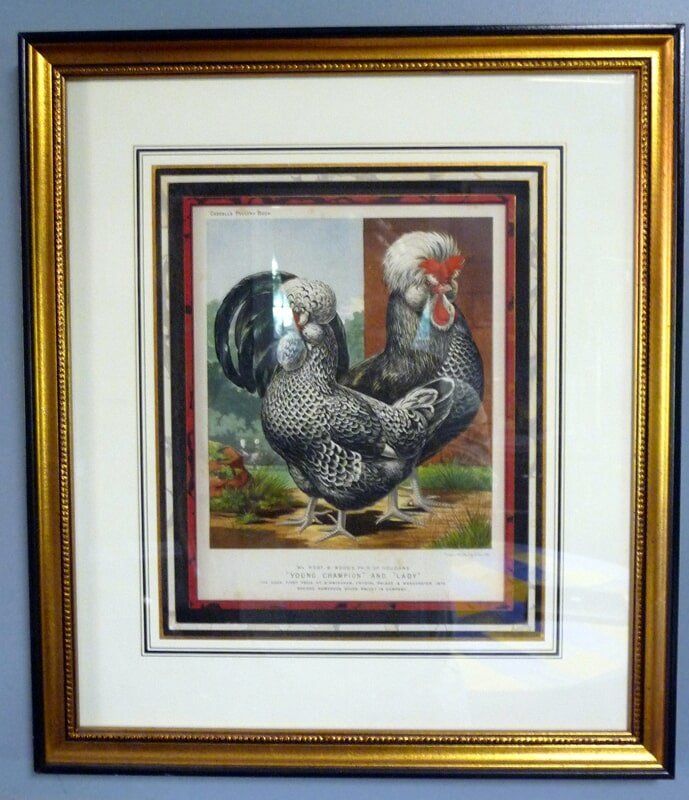 Framed Chickens Image — Alexandria, VA — Buchanan and Kiguel Fine Custom Picture Framing