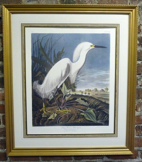 Framed White Bird Image — Alexandria, VA — Buchanan and Kiguel Fine Custom Picture Framing