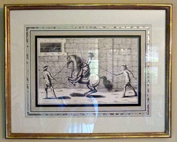 Framed Picture — Alexandria, VA — Buchanan and Kiguel Fine Custom Picture Framing