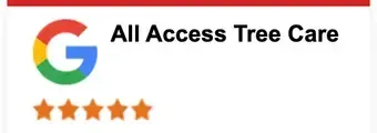All Access Tree Care 5-Star Reviews on Google
