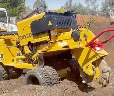 Tree Removal & Stump Grinding in San Diego County