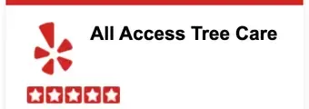All Access Tree Care 5-Star Testimonials on Yelp