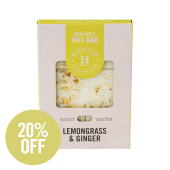 LEMONGRASS & GINGER MINI WAX MELT BAR
