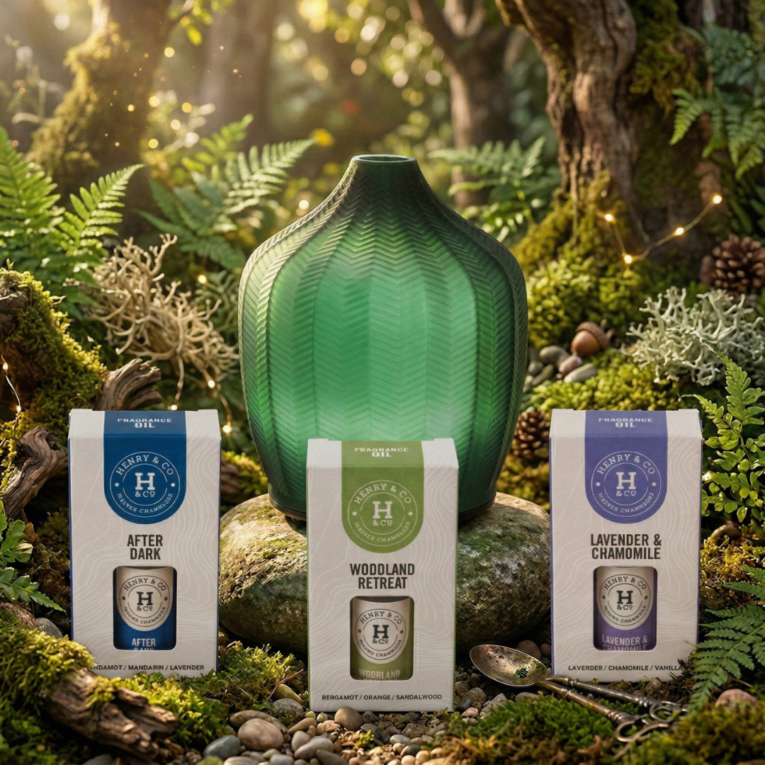 SPOTLIGHT FRAGRANCE 20% OFF