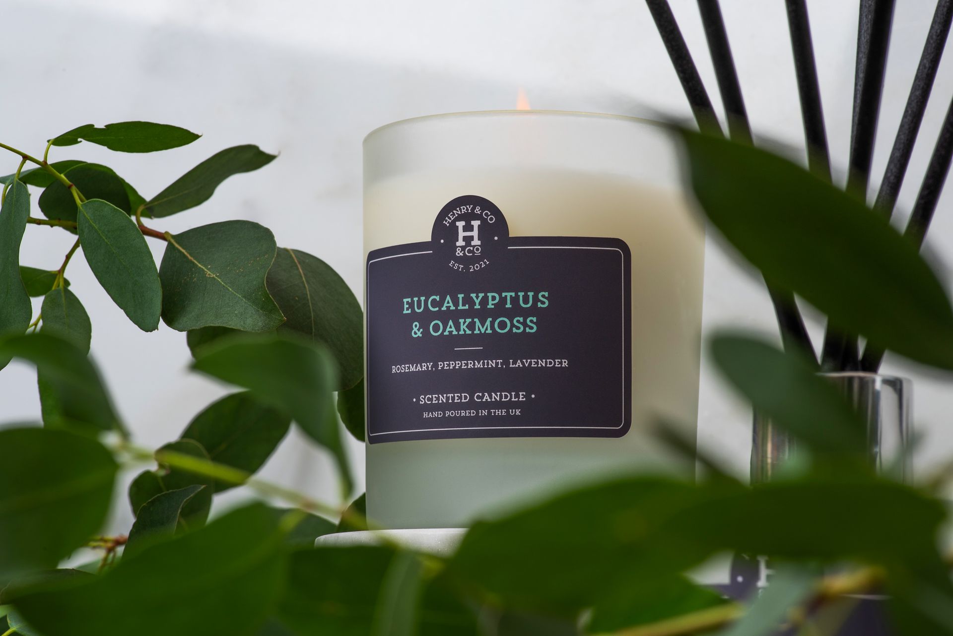 Eucalyptus & Oakmoss Scented Candle