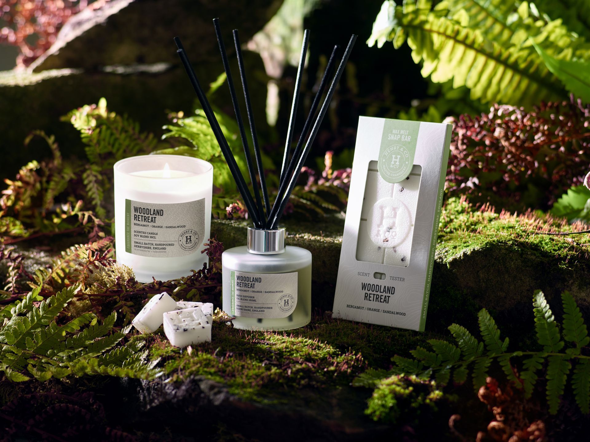 Wax melts and wax melt burner H&Co