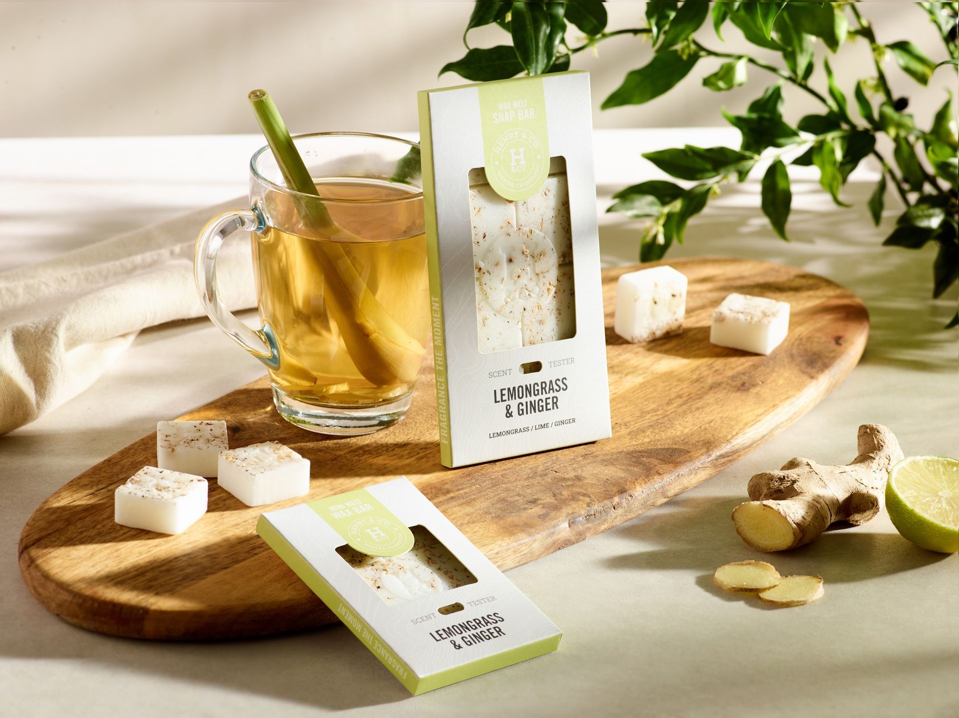 lemongrass and ginger home fragrance collection