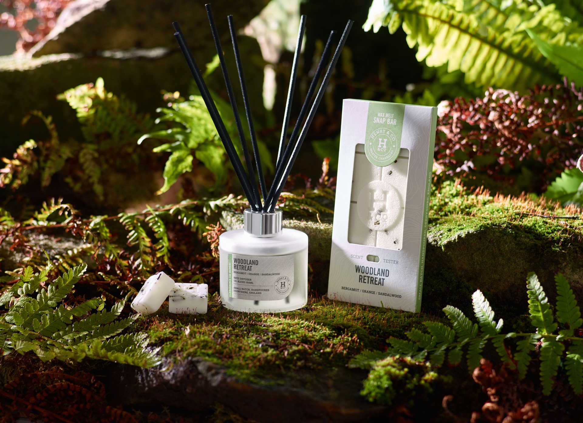 Reed diffuser with black reeds, two aroma stones, and packaging on mossy surface surrounded by ferns.
