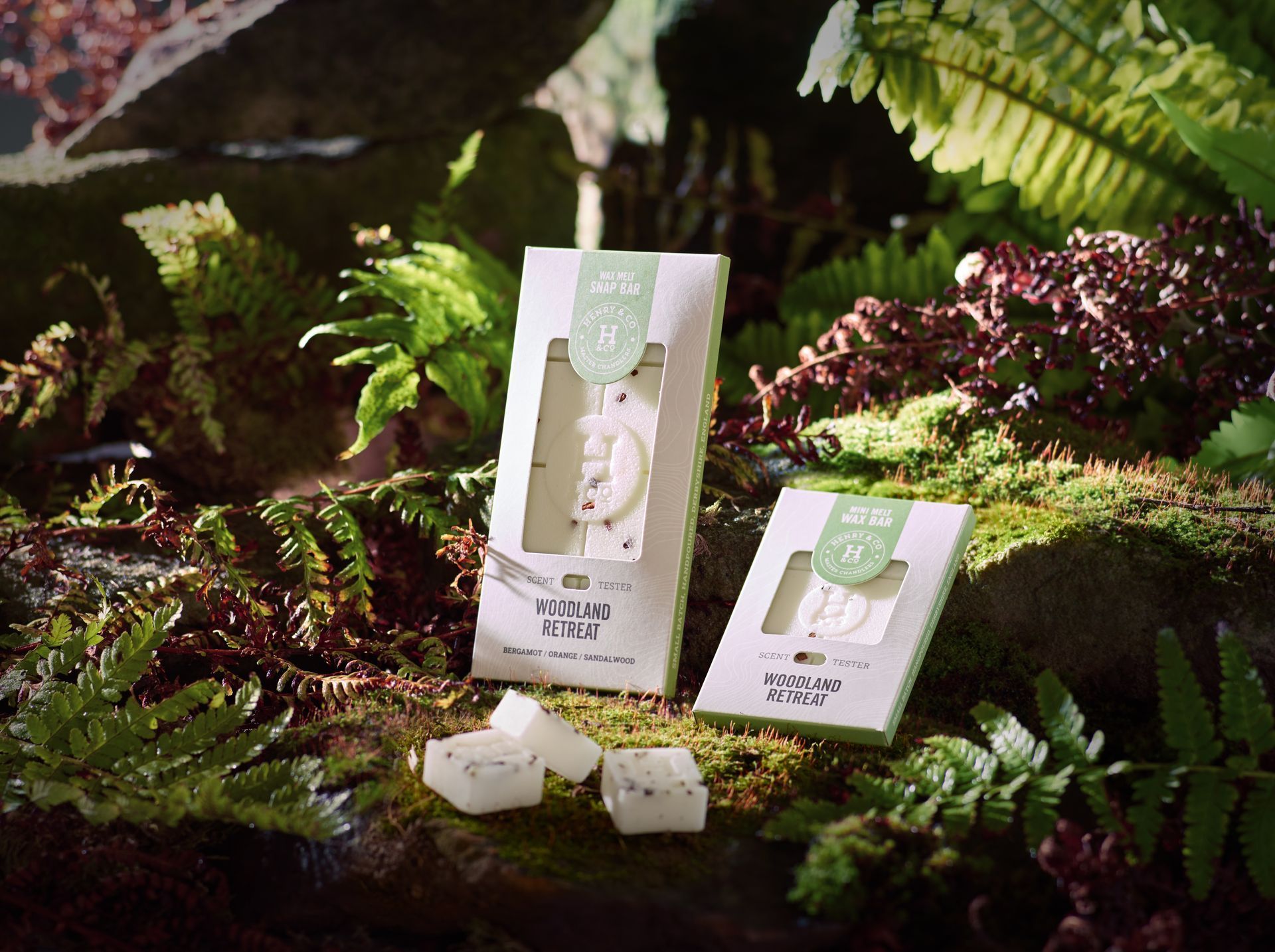 The Best Scented Wax Melts