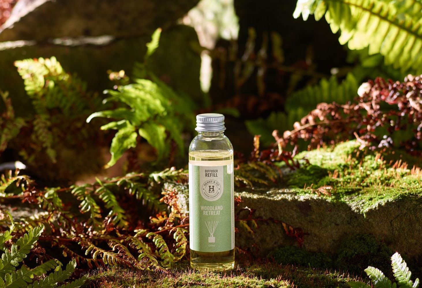 Reed Diffuser Refills