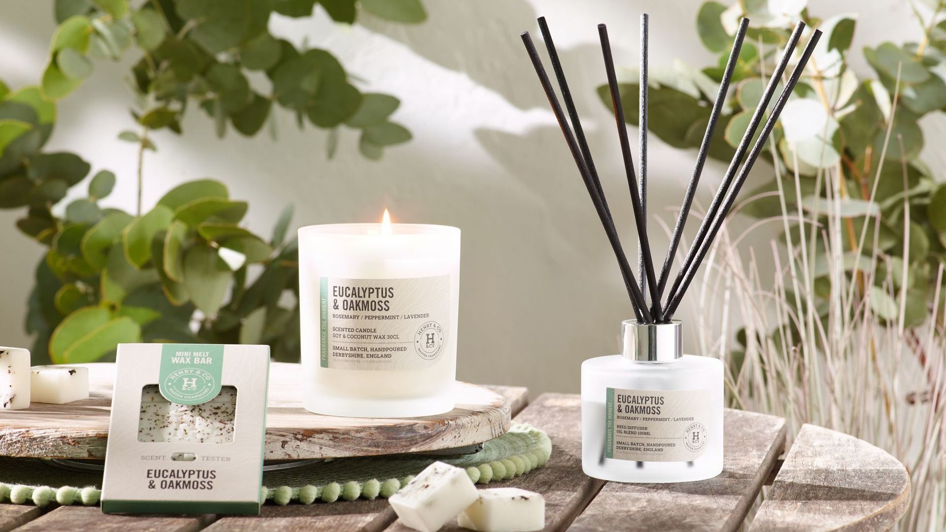 Eucalyptus and oakmiss home fragrance collection