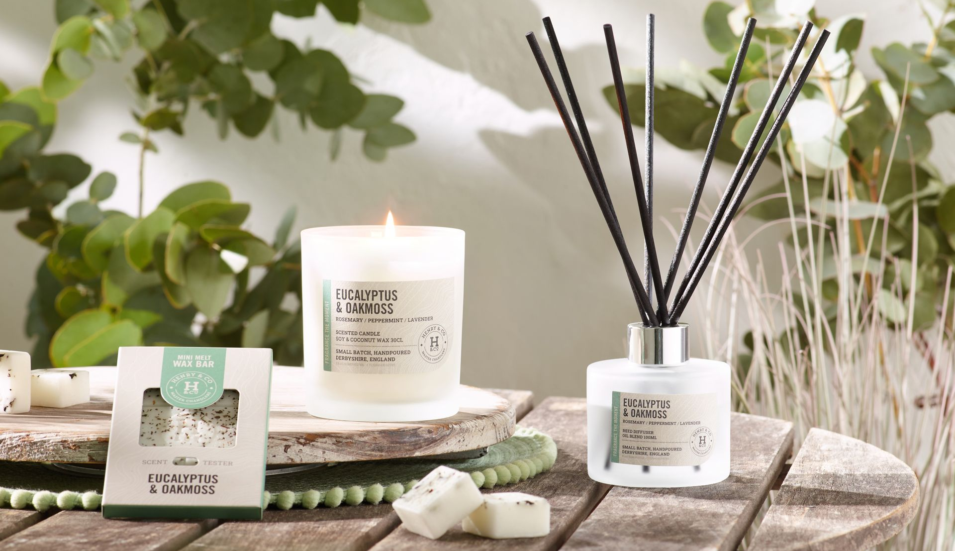 eucalyptus and oakmoss home fragrance collection