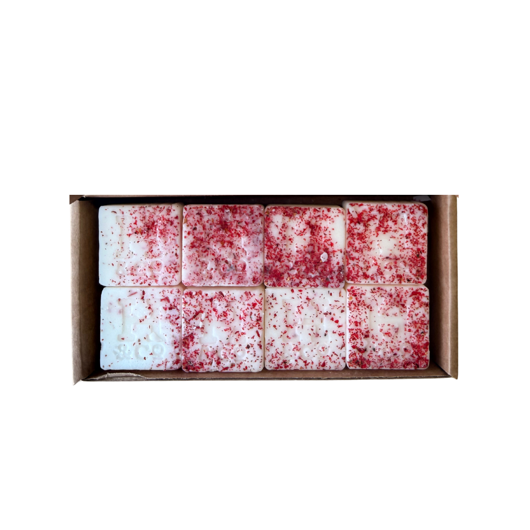 WATERMELON BOX OF 8 WAX MELTS OPEN