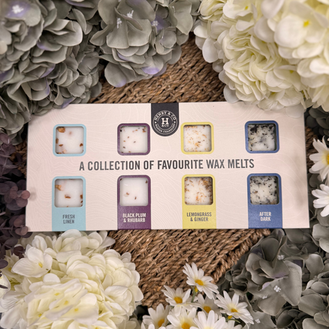 Discovery Box Lifestyle Image