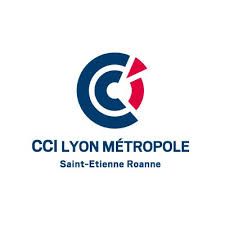 Logo CCI Lyon Métropole