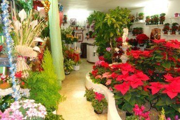 realizzazioni floreali