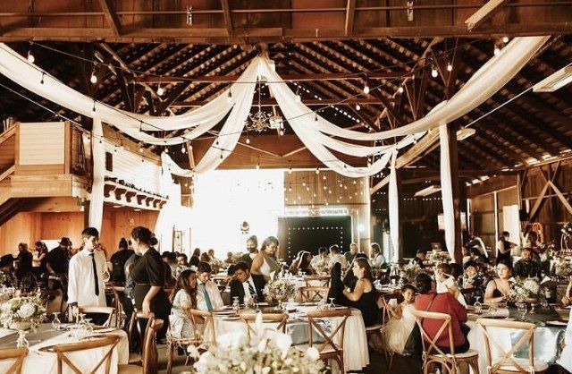 Stress less Celebrations