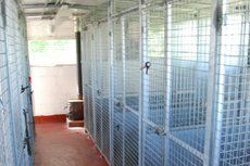 Premier care for your pets